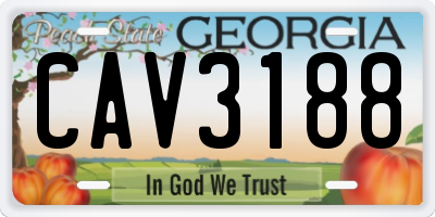 GA license plate CAV3188