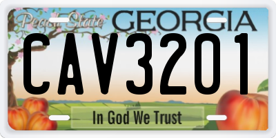 GA license plate CAV3201