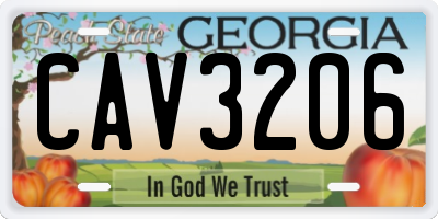 GA license plate CAV3206