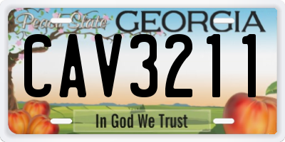 GA license plate CAV3211