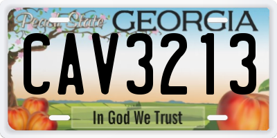 GA license plate CAV3213