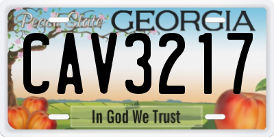 GA license plate CAV3217