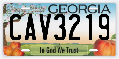 GA license plate CAV3219