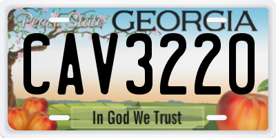 GA license plate CAV3220