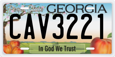 GA license plate CAV3221