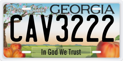 GA license plate CAV3222
