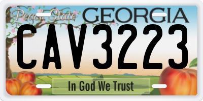 GA license plate CAV3223