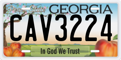 GA license plate CAV3224