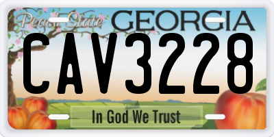 GA license plate CAV3228