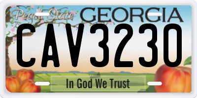 GA license plate CAV3230