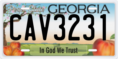 GA license plate CAV3231