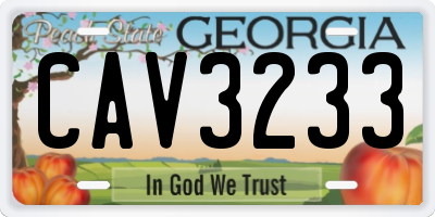 GA license plate CAV3233