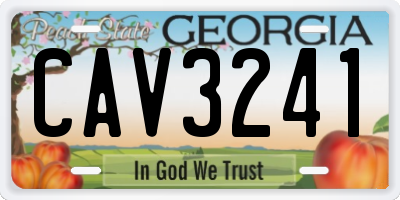 GA license plate CAV3241