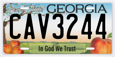 GA license plate CAV3244