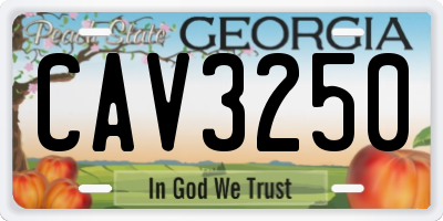 GA license plate CAV3250