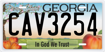 GA license plate CAV3254