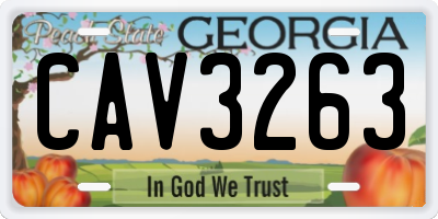 GA license plate CAV3263