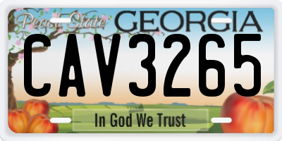 GA license plate CAV3265
