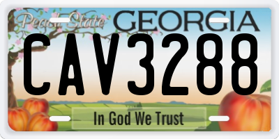 GA license plate CAV3288