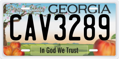 GA license plate CAV3289