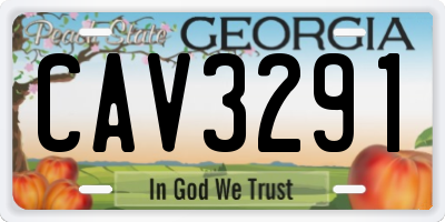 GA license plate CAV3291