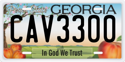 GA license plate CAV3300