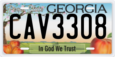 GA license plate CAV3308