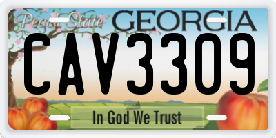 GA license plate CAV3309