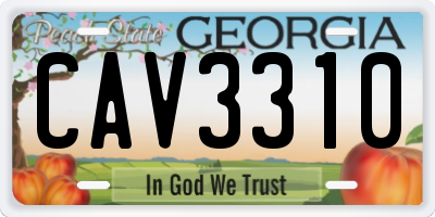GA license plate CAV3310