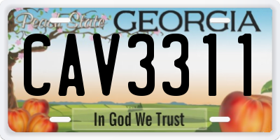 GA license plate CAV3311
