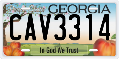 GA license plate CAV3314