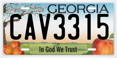 GA license plate CAV3315