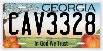 GA license plate CAV3328