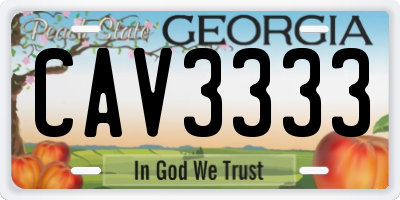 GA license plate CAV3333