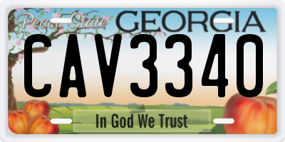 GA license plate CAV3340