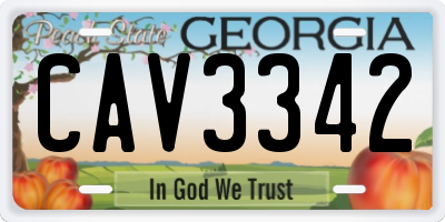 GA license plate CAV3342