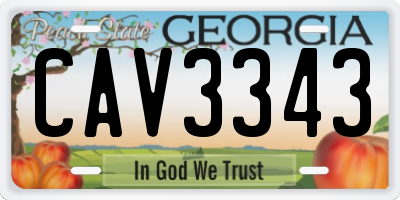 GA license plate CAV3343