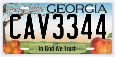 GA license plate CAV3344