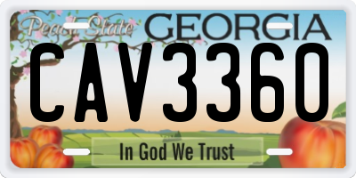 GA license plate CAV3360