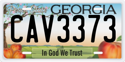 GA license plate CAV3373