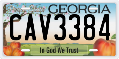 GA license plate CAV3384