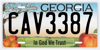 GA license plate CAV3387