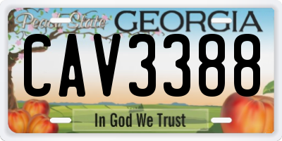 GA license plate CAV3388