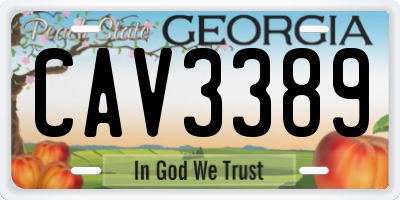 GA license plate CAV3389
