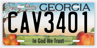 GA license plate CAV3401