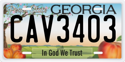 GA license plate CAV3403