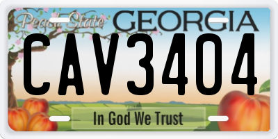 GA license plate CAV3404