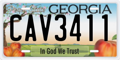 GA license plate CAV3411