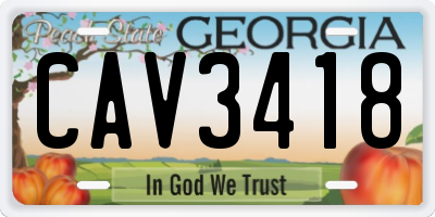 GA license plate CAV3418