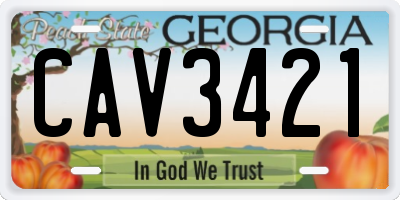 GA license plate CAV3421